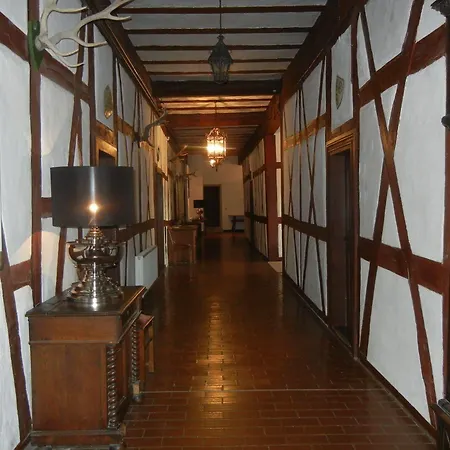 מלון Gotzenburg 4*